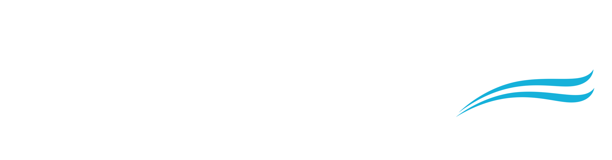 رایان کارگو